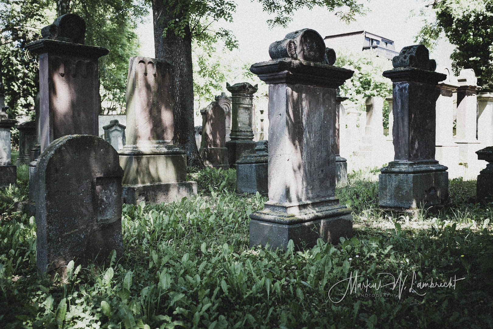 Einbeck, Jüdischer Friedhof